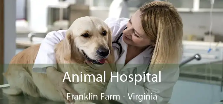 Animal Hospital Franklin Farm - Virginia