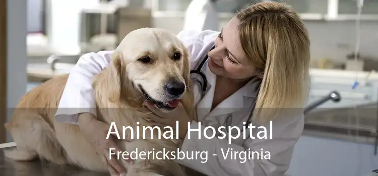 Animal Hospital Fredericksburg - Virginia
