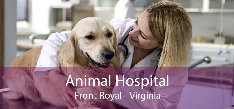 Animal Hospital Front Royal - Virginia