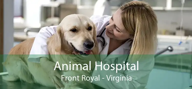 Animal Hospital Front Royal - Virginia