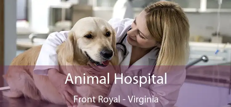 Animal Hospital Front Royal - Virginia