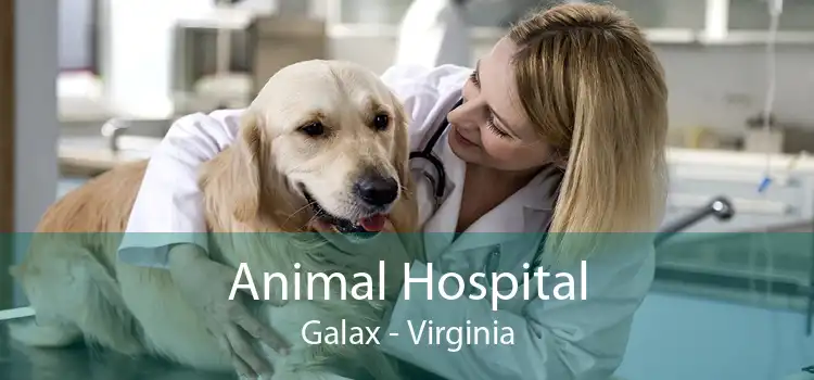 Animal Hospital Galax - Virginia