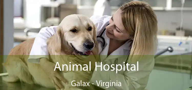 Animal Hospital Galax - Virginia