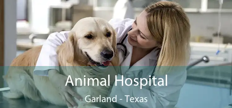 Animal Hospital Garland - Texas