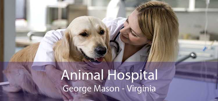 Animal Hospital George Mason - Virginia