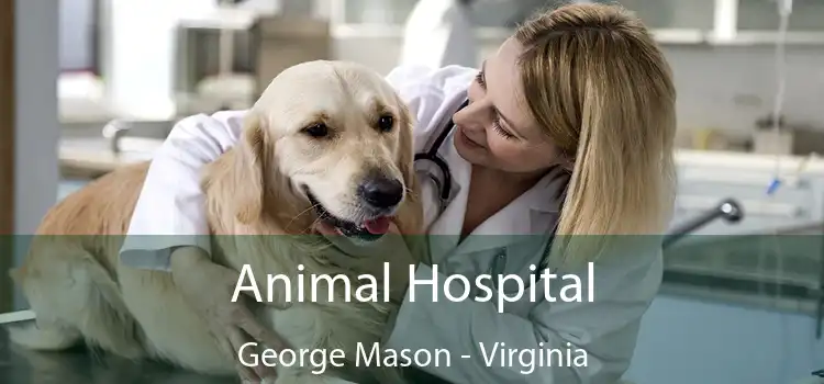 Animal Hospital George Mason - Virginia