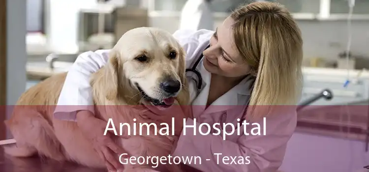 Animal Hospital Georgetown - Texas