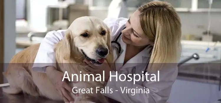 Animal Hospital Great Falls - Virginia