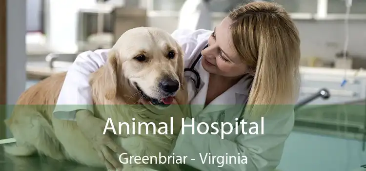 Animal Hospital Greenbriar - Virginia