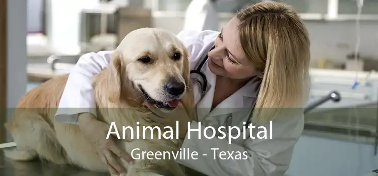 Animal Hospital Greenville - Texas