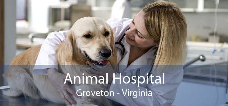 Animal Hospital Groveton - Virginia