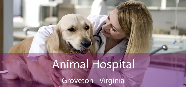 Animal Hospital Groveton - Virginia