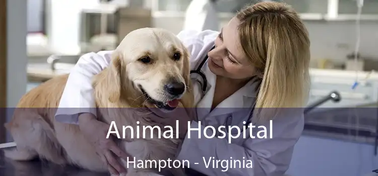 Animal Hospital Hampton - Virginia