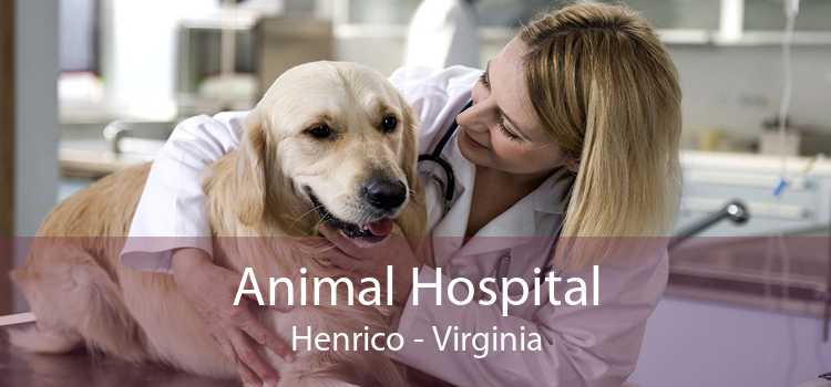 Animal Hospital Henrico - Virginia