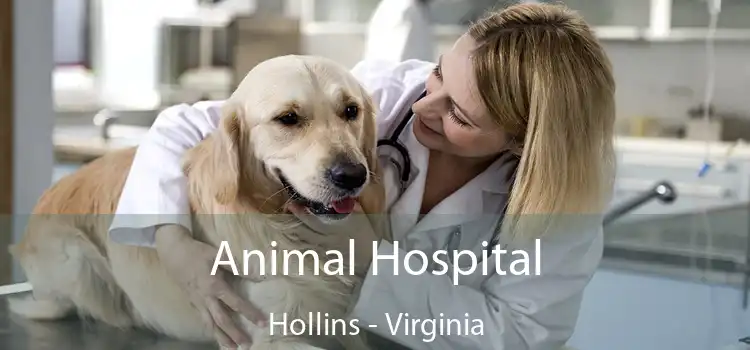 Animal Hospital Hollins - Virginia