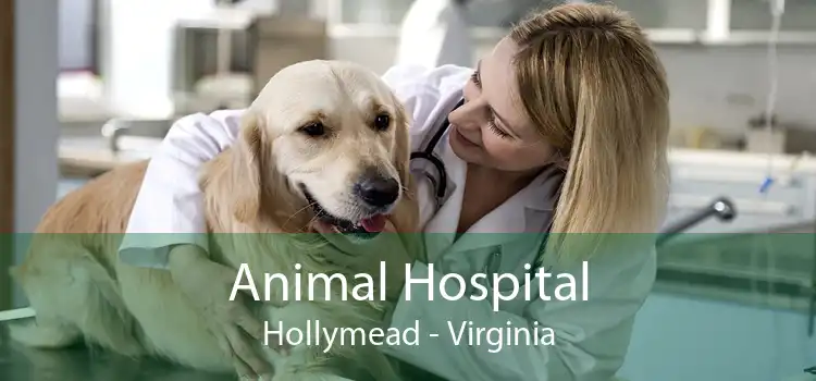 Animal Hospital Hollymead - Virginia