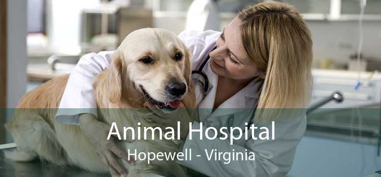 Animal Hospital Hopewell - Virginia