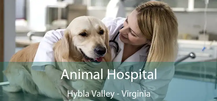 Animal Hospital Hybla Valley - Virginia