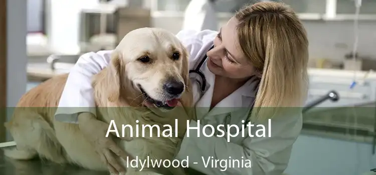 Animal Hospital Idylwood - Virginia