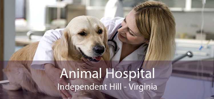Animal Hospital Independent Hill - Virginia