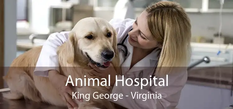 Animal Hospital King George - Virginia
