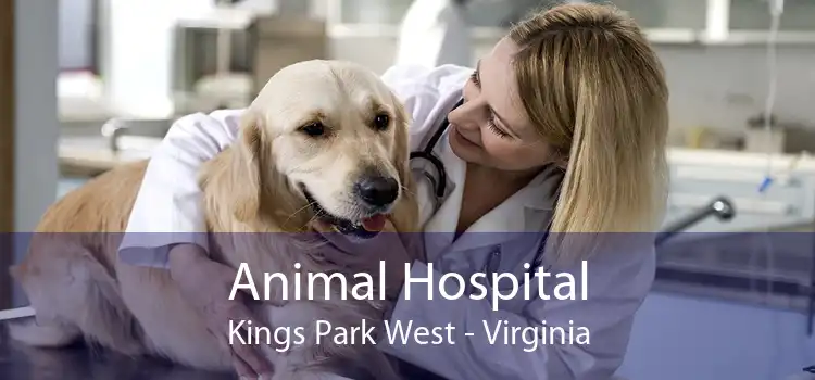 Animal Hospital Kings Park West - Virginia