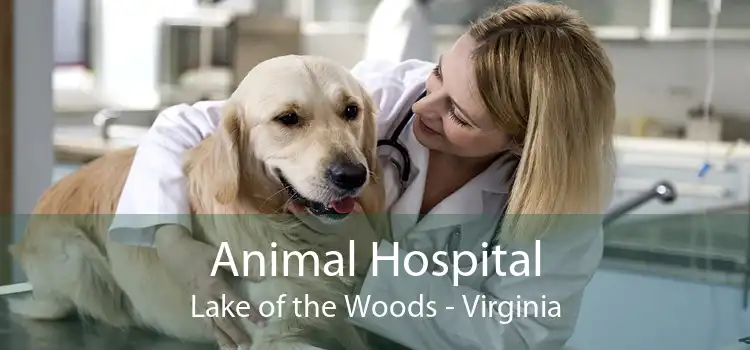 Animal Hospital Lake of the Woods - Virginia
