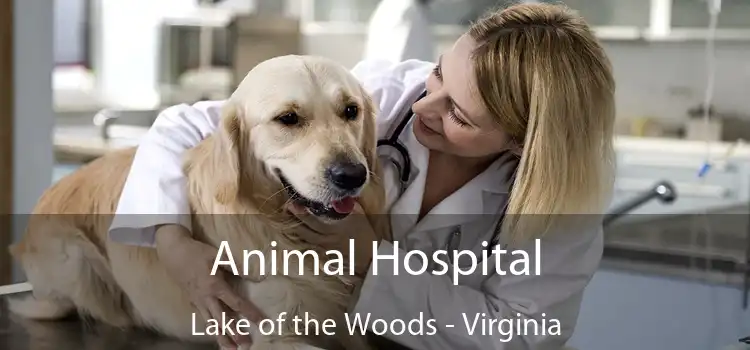 Animal Hospital Lake of the Woods - Virginia