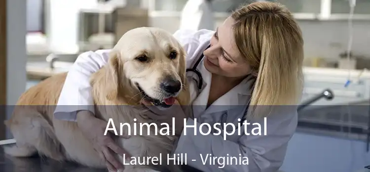 Animal Hospital Laurel Hill - Virginia