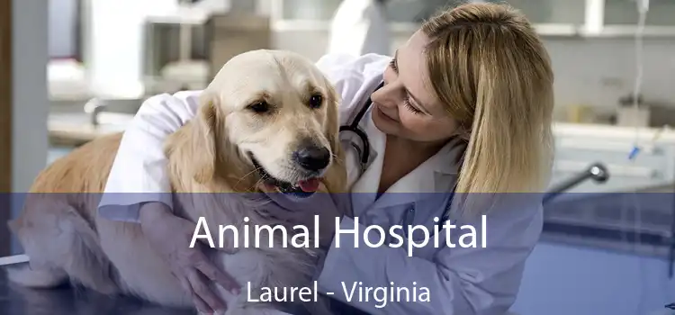 Animal Hospital Laurel - Virginia