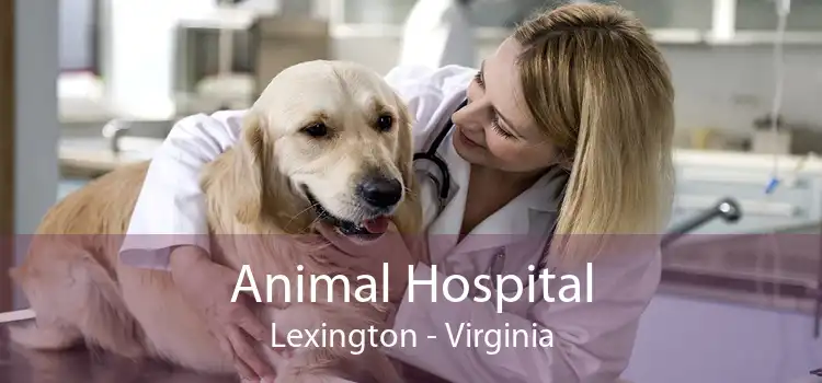 Animal Hospital Lexington - Virginia