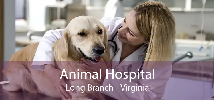Animal Hospital Long Branch - Virginia
