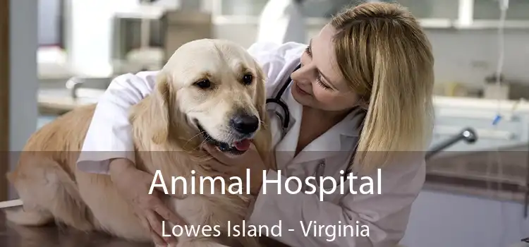 Animal Hospital Lowes Island - Virginia