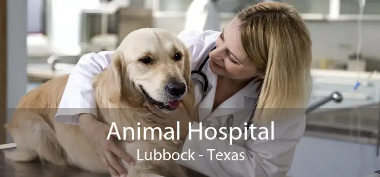 Animal Hospital Lubbock - Texas