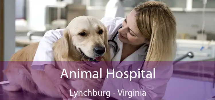 Animal Hospital Lynchburg - Virginia