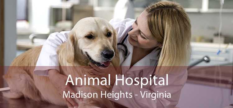 Animal Hospital Madison Heights - Virginia