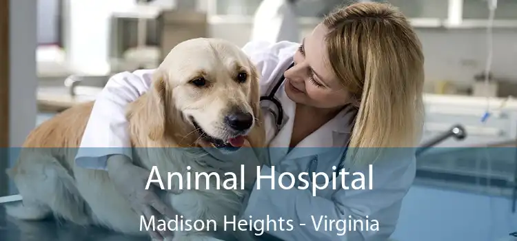 Animal Hospital Madison Heights - Virginia