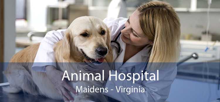 Animal Hospital Maidens - Virginia