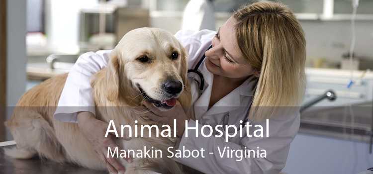 Animal Hospital Manakin Sabot - Virginia