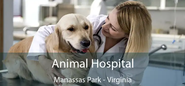 Animal Hospital Manassas Park - Virginia