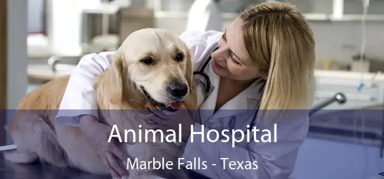 Animal Hospital Marble Falls - Texas