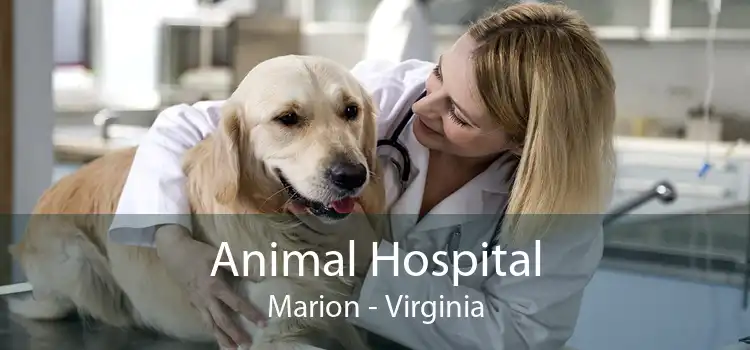 Animal Hospital Marion - Virginia