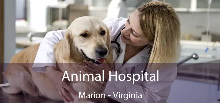 Animal Hospital Marion - Virginia