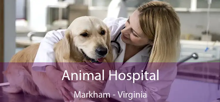 Animal Hospital Markham - Virginia