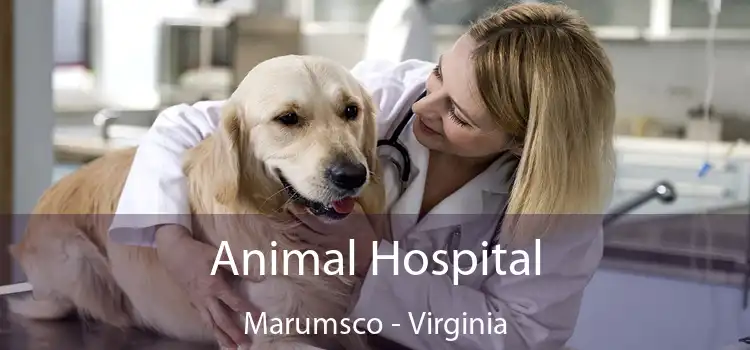 Animal Hospital Marumsco - Virginia