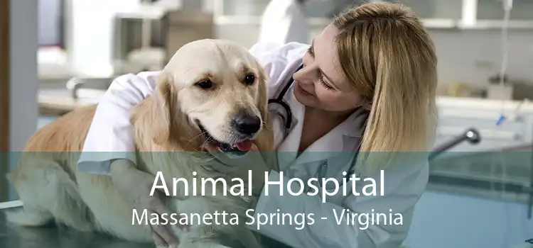Animal Hospital Massanetta Springs - Virginia