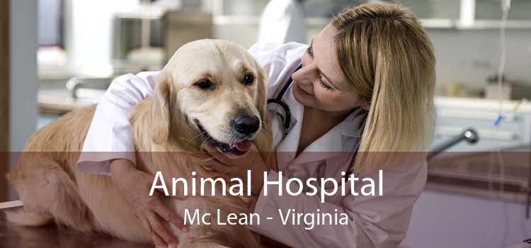 Animal Hospital Mc Lean - Virginia