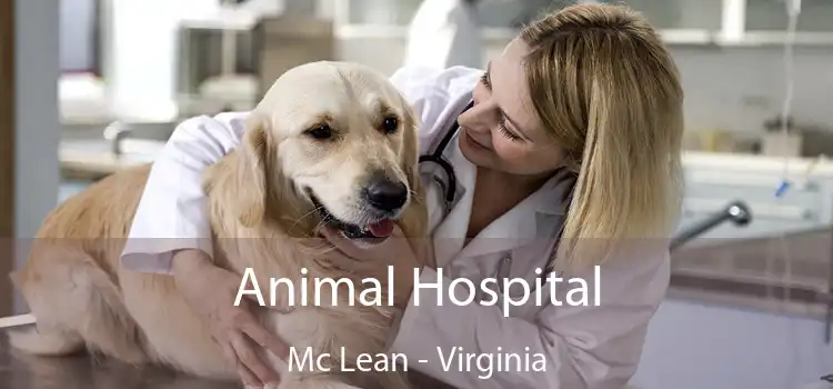 Animal Hospital Mc Lean - Virginia