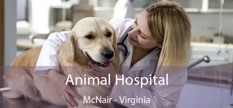 Animal Hospital McNair - Virginia