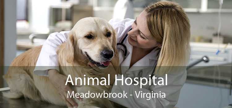 Animal Hospital Meadowbrook - Virginia